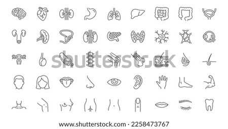 Internal organs line icons set. Brain heart, kidneys, stomach lungs, liver, intestines, adrenal gland, neuron, spleen, knee joint vector illustration. Outline signs about anatomy. Editable Stroke Royalty-Free Stock Photo #2258473767