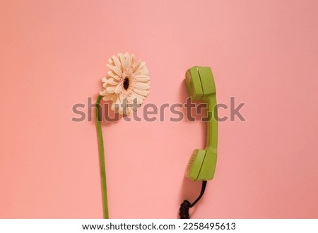 Creative love idea of a whispering between a flower and a telephone receiver. Conversation on a pink background.