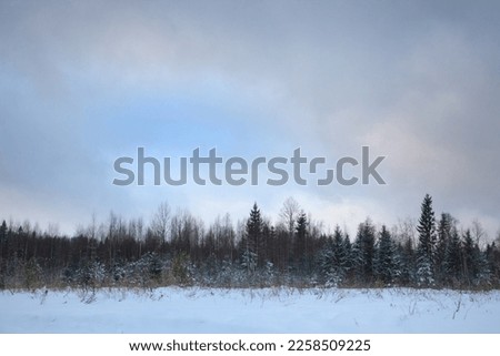 Winter landscape with a forest and a snowy field and a sky with clouds.