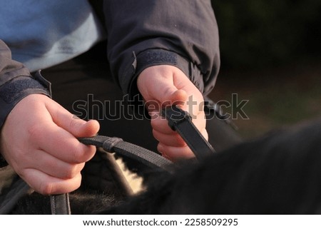 Horse rider holding the reins on a horse. Equestrian  Royalty-Free Stock Photo #2258509295