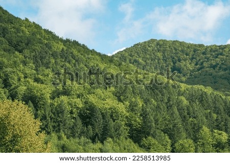 the hills are covered with green trees. the lungs of nature.