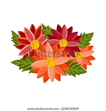 Bright colorful flowers with leaves. Botanical vector illustration isolated on white background for postcard, poster, ad, decor, fabric and other uses.