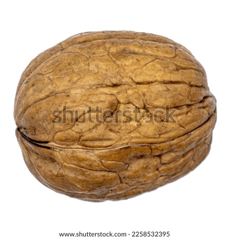 one single walnut in uncracked nutshell, transparent background Royalty-Free Stock Photo #2258532395