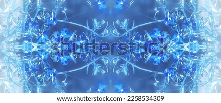 Abstract Symmetrical Pattern. Lobelia Blue Flower. Plant background. Art Conception