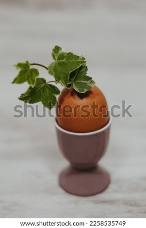 green flower in a vase. easter flower in egg. easter composition with green flower