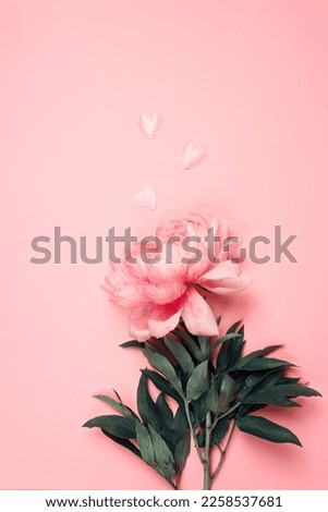 Pink peony with hearts on a pink background. Valentine's day, Women's day, Mother's day greeting card with copy space.