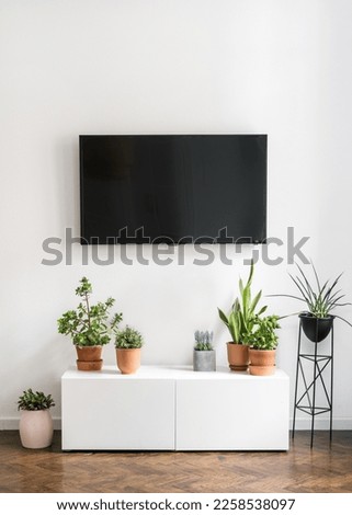 houseplants in ceramic pots on white sideboard and black tv screen hanging on wall in stylish room in apartment with modern interior, home decoration