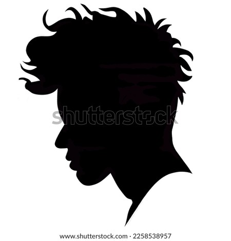 Young Black man with beautifully curled hair an ideal salon appearance.