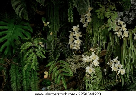 Group background of dark green tropical leaves ( monstera, palm, coconut leaf, fern, palm leaf,bananaleaf) Panorama background. concept of natu