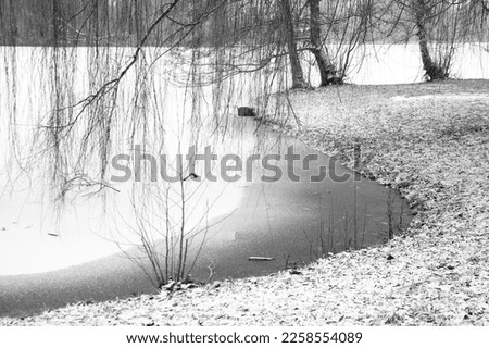 Winter landscape, a snowy tree at Lake Orankesee in Berlin - Germany

