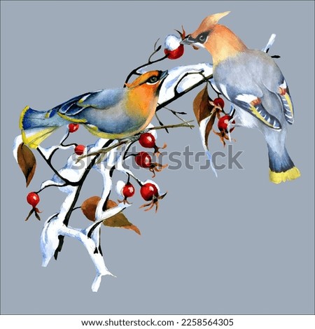 Birds on snow-covered branches. Can be used as a postcard, cover background, or for a web message. Vector illustration in a watercolor style.
