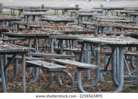 Rows of empty picnic tables covered in fallen leaves.