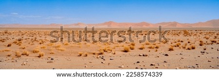 Namib Desert Dunes around Sossusvlei, HDR Image Royalty-Free Stock Photo #2258574339