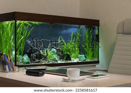Workplace in the office over background of the aquarium.