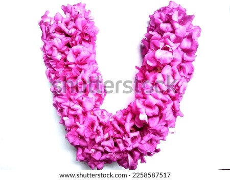 V font shape organic (barleria cristata) pink flowers design isolated on white background.