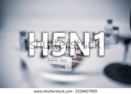 Close up of Influenza A virus subtype H5N1 word disease ,Medical health concept Royalty-Free Stock Photo #2258607009