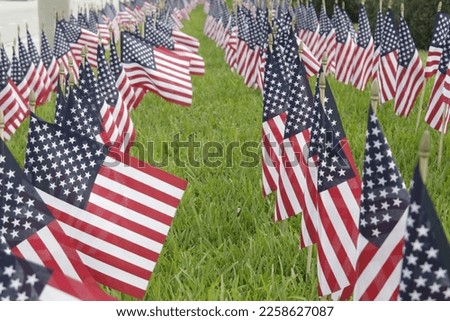 flags mini american patriot day indipendence