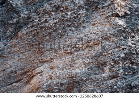 Surface sandy rock. Rocky shore of the Caspian Sea. Royalty-Free Stock Photo #2258628607