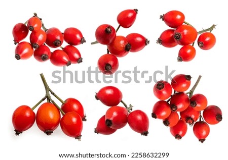 Rose hips isolated on white, top view. Collection. Royalty-Free Stock Photo #2258632299