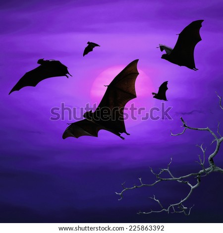 Halloween night with bats flying