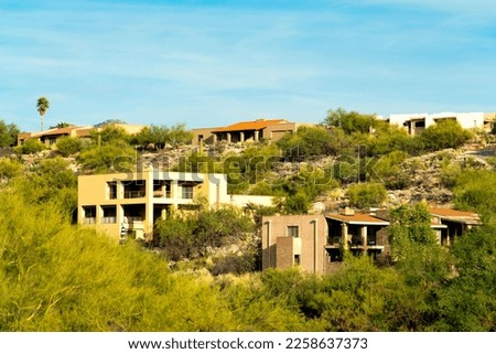 Row of modern mansions in the sonora desert with house and homes in the hills and moutain landscapes of arizona. Visible cactuses and palm trees in a native grass landscape with clear blue skies.