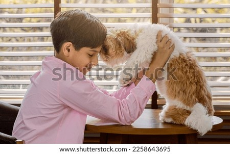 Teenage warm boy wearing casual shirt, smiling with happiness, showing expression, hugging with little dog or pet with relaxation, love at cozy home on weekend. Lifestyle, Leisure, Healthcare Concept