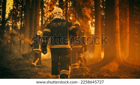 Establishing Shot: Team of Firefighters in Safety Uniform and Helmets Extinguishing a Wildland Fire, Moving Along a Smoked Out Forest to Battle Dangerous Ecological Emergency. Cinematic Footage. Royalty-Free Stock Photo #2258645727