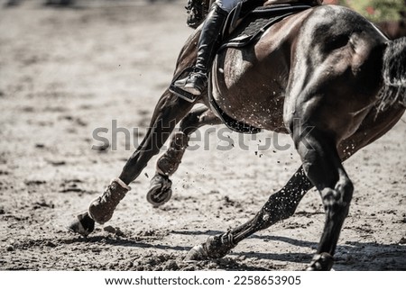Sport Horse in Dynamic Movement Galloping Around the Course During Show Jumping Competition. Equestrian Sports Theme. Rear View. Royalty-Free Stock Photo #2258653905