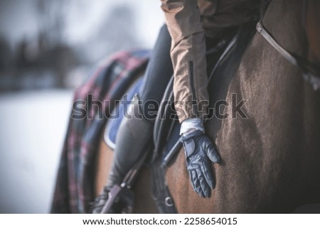 Front View Closeup of Professional Rider Stroking a Horse on the Neck During Winter Horseback Riding Training Outdoors. Equestrian Theme.
