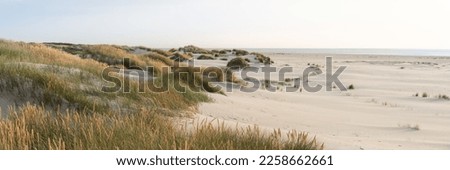 Wide, sandy beach on the North Sea Royalty-Free Stock Photo #2258662661