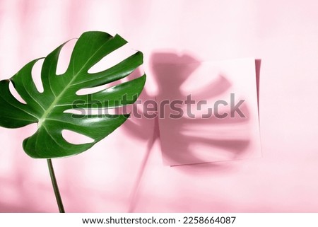 Tropical green Monstera leaves and  blank paper sheet on pastel pink table background. Flat lay, top view, copy space