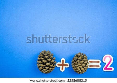 A photograph placed at the bottom right of a blue background, meaning one pinecone + one pinecone equals two.