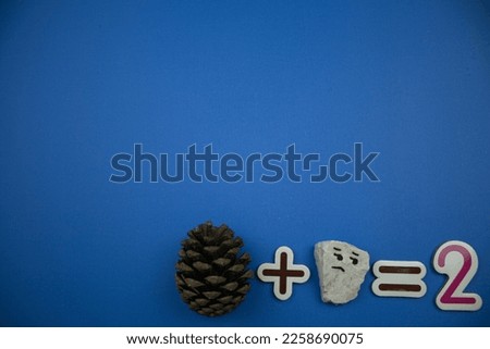 Photo with a pinecone + a stone with an emoji equals two, placed on the right of a blue background.