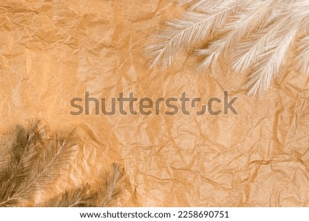 Decorative fluffy grass on kraft paper, creative abstract background, minimalist retro pattern on kraft paper background, flat lay concept copy space, abstract concept with recycled paper