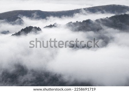 Photo of the peaks rock and hills covered trees in early Autumn on the background clouds and fog. Fog lies in the gorges and canyons but peaks see from a fog Royalty-Free Stock Photo #2258691719