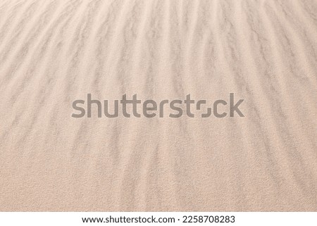 Sand dunes on the beach as a background.