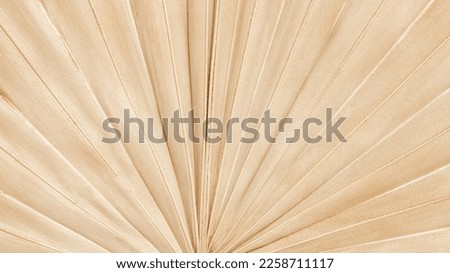Palm leaf close up background. Dry palm leaf aesthetic background, bohemian poster for home interior