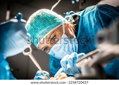 Female surgeon managing a simulated facial trauma Royalty-Free Stock Photo #2258720437