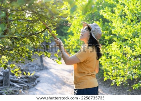 Portrait of Asian woman smiling wear a hat harvesting green lemons in farm orchard garden. Peasant lifestyle, looking at camera at outdoors. Farmer and organic lemon farm concept.