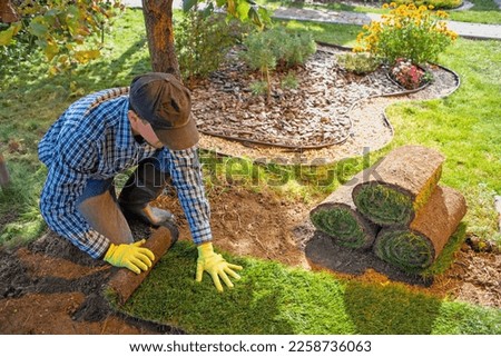 Landscape Gardener Laying Turf For New Lawn in the garden Royalty-Free Stock Photo #2258736063