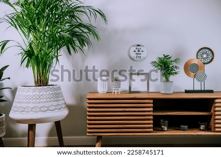 Scandinavian home interior with decorative accessories standing on a wooden cabinet. Minimalist design in interior of room with green plants and white wall with copy space. Biophilia style.