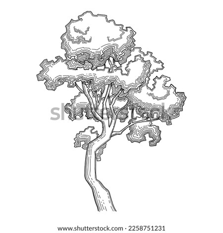 Plant tree forest icon outline, hand drawn vector. Garden drawing. Botanical oak