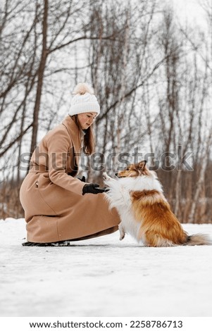 Train your pet in the snow. The friendship between owner and dog
