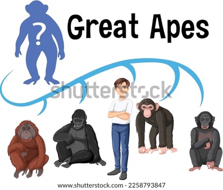 Five different types of great apes illustration