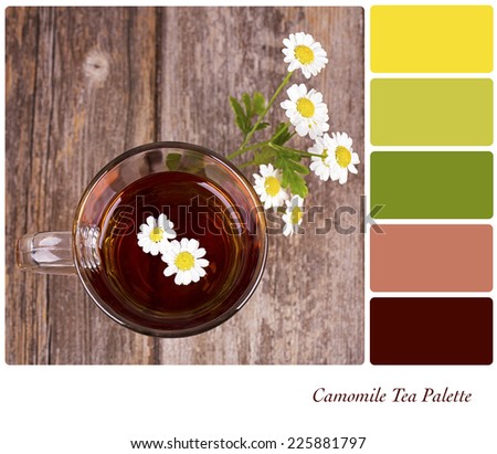 A glass of camomile tea, with camomile flowers, over old wood background. In a colour palette with complimentary colour swatches. 