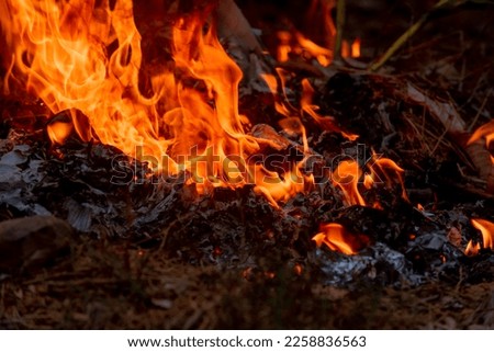 The background image of a burning flame.