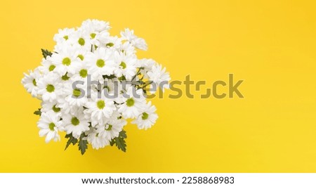 White daisy flowers bouquet. Flat lay on yellow background with copy space