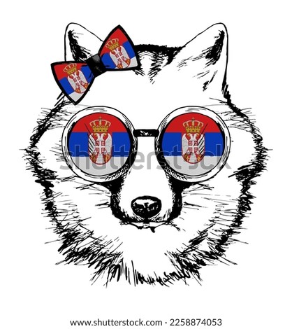 Fox hand drawn portrait. Patriotic sublimation in colors of national flag on white background. Serbia