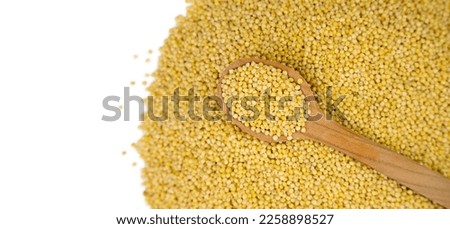 Millet groats in a wooden spoon isolated on a white background. Banner. Top view. Close-up. Selective focus. Royalty-Free Stock Photo #2258898527