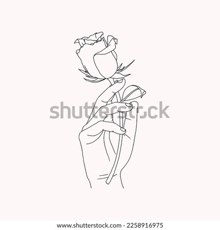 Hand holding Rose flower, Hand Drawn Illustration